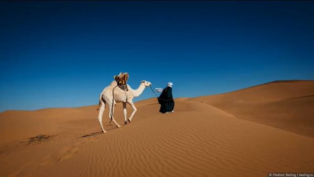 Баев Евг. Симфонический оркестр "Долгая дорога" смотреть онлайн