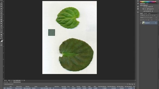 Medicion de Area Foliar Con Photoshop смотреть онлайн