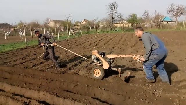 +1 лошадка на мотоблок смотреть онлайн