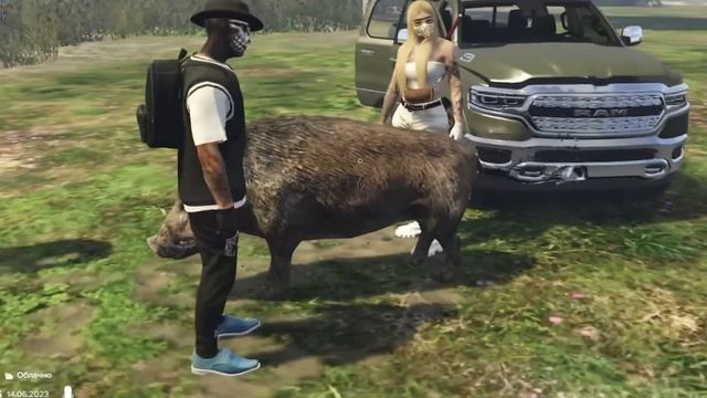 КАБАН СТАЛ ЧЕЛОВЕКОМ в GTA RP ? КАК СТАТЬ УСПЕШНЫМ КАБАНОМ на MAJESTIC RP смотреть онлайн