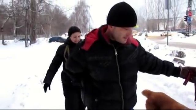 Отзывы моих клиентов (алабай Тамерлан-Ясон) смотреть онлайн