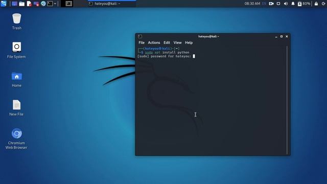 Installing Python 3 on Kali Linux смотреть онлайн