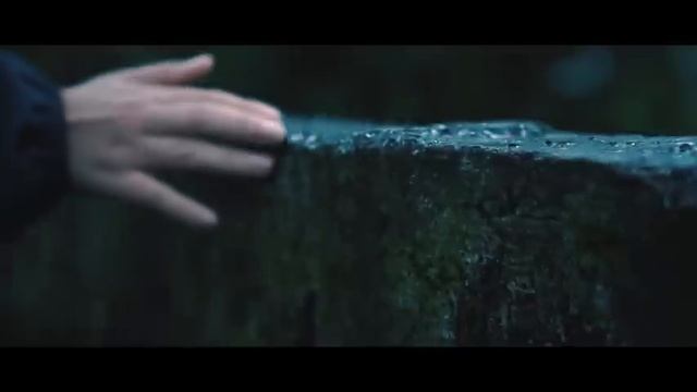 Into The Nature - Cinematic Travel Video | Sony a6300 смотреть онлайн