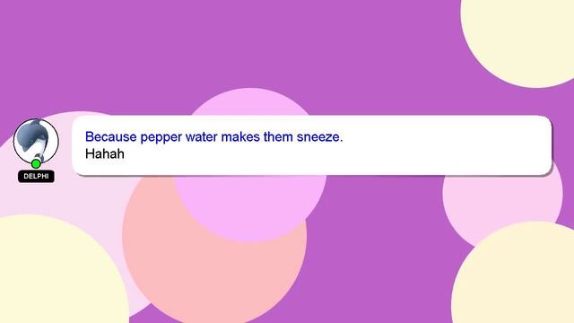 C++ : regex works on regex tester but not in c++ смотреть онлайн