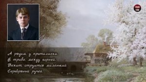 Сергей Есенин "Черемуха" (Черемуха душистая) - Слушать и Учить аудио стихи
