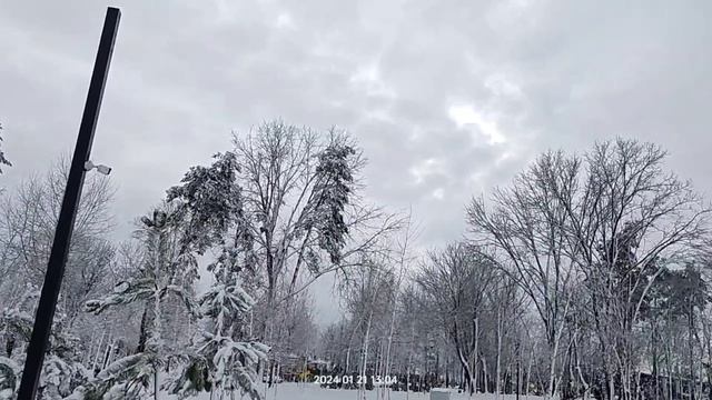 Зимний Комсомольский парк в станице Динской