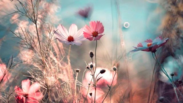 Послание. Цивилизации Солнц о Вознесении Души смотреть онлайн