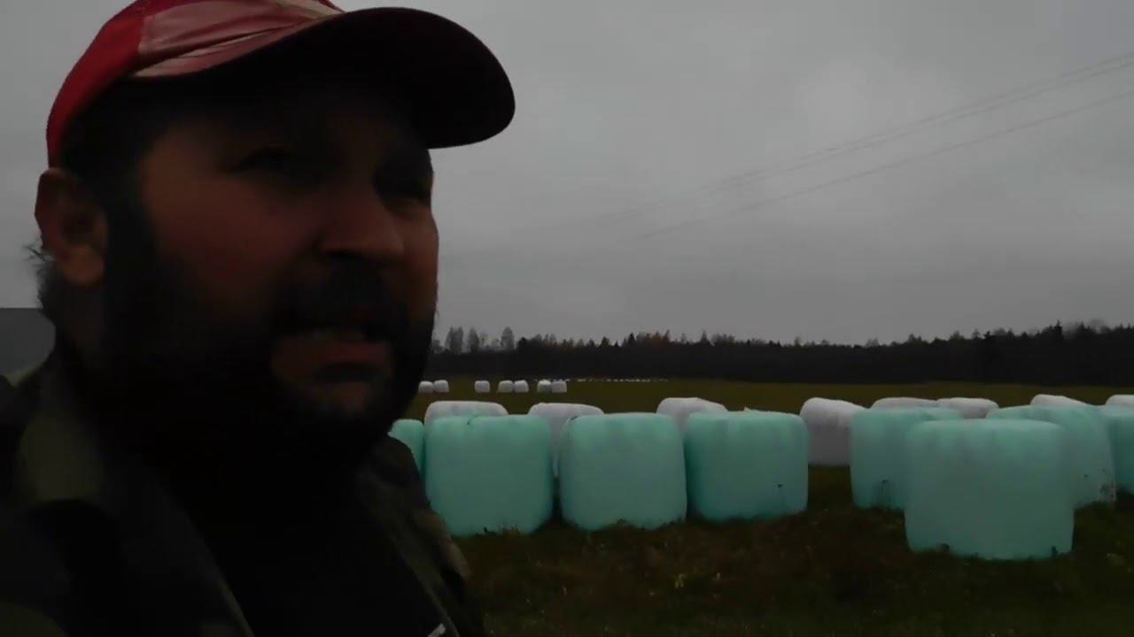 Как хранятся рулоны сенажа в пленке!Сезон 2020г смотреть онлайн