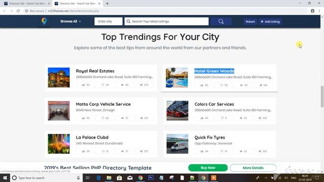 Listing views count check - Business Directory Template by Rn53 Themes смотреть онлайн