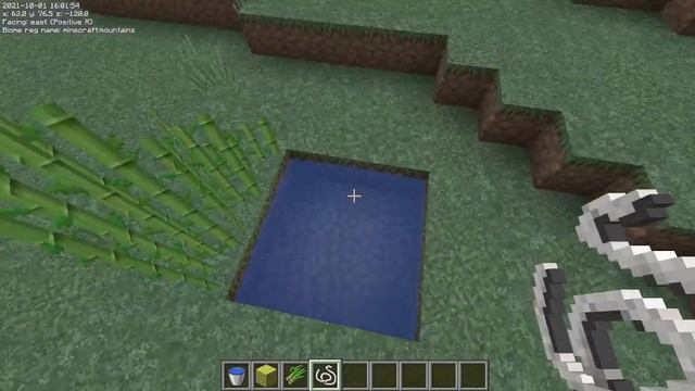 Minecraft sugar cane no water Bug 1.17.1 смотреть онлайн