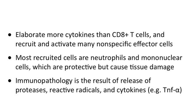 Virology 2012 Lecture #15: Virus-host interactions смотреть онлайн