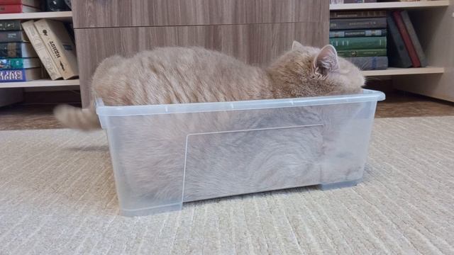 Отличное место!??