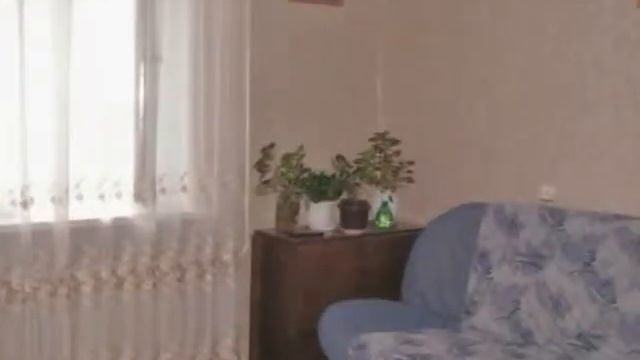 московское шоссе 4 комнатная.mp4 смотреть онлайн