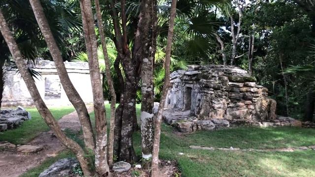 O'Pole: МЕКСИКА (ч.2) / Парк Xcaret - 100$ за вход О_О смотреть онлайн