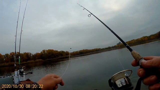 30октября 2020 Отчёт о рыбалке на хищника в черте города Днепропетровска на Красном Камне . смотреть онлайн