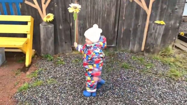 София и домашнее животное / Собака чиа хуа хуа / гонки на тачке / игра с мячом / весело у бабушки смотреть онлайн