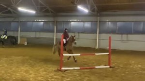 влог|| соревнования по выездке и конкуру