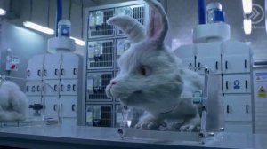 Кролик Ральф Full HD | Полное видео |  косметику тестируют на кролике