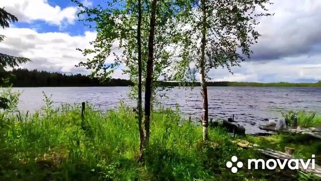 Рыбалка в Архангельской области на лесном озере смотреть онлайн