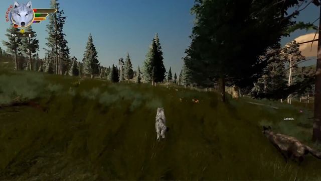 Hidden SECRETS at the New Forest Den?! ? WOLF QUEST: WILD MEADOW • #24 смотреть онлайн