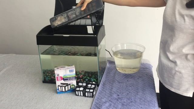 BASIC Aquarium & Pump Maintenance By AA Aquarium