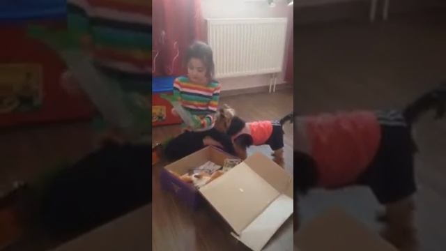 Коробка от super dog box смотреть онлайн