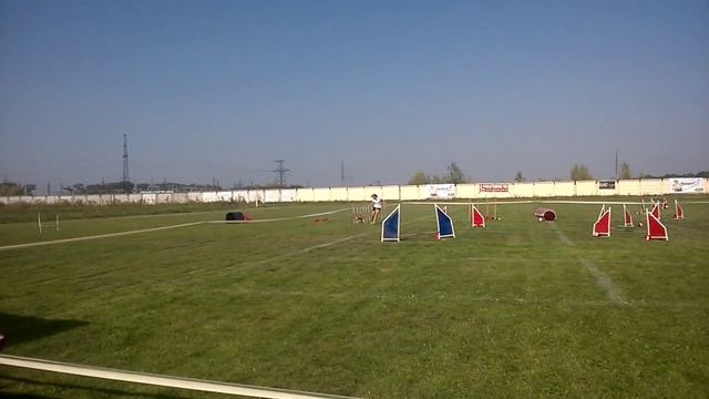 Скрипица Дарья Д 3 смотреть онлайн