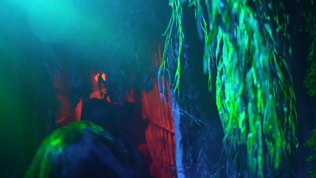 [4k] The Black Spot House | Howl-O-Scream Haunted Maze Walkthrough смотреть онлайн