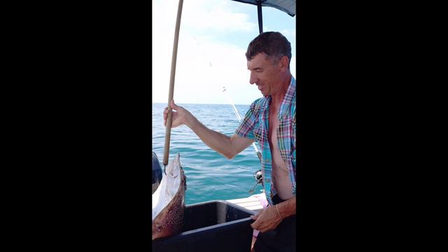 Ребенок плакал, когда увидел это чудище. смотреть онлайн