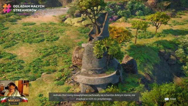 The Settlers - New Allies #9