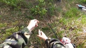 Ловля карася на донку. Рыбалка в мае на карася. Донка с кормушкой