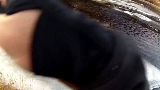 Сёмга всех времён и народов. смотреть онлайн