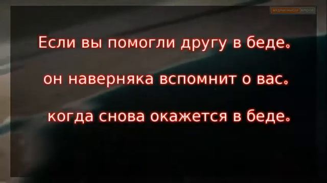 Веселые, прикольные и смешные цитаты, фразы, высказывания смотреть онлайн