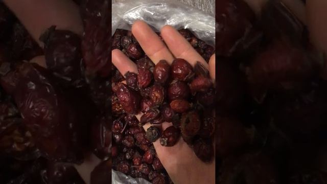 Плоды шиповника сушеные смотреть онлайн