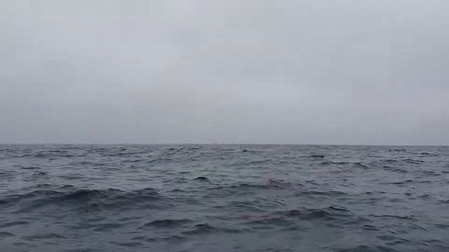 Катерное приключение