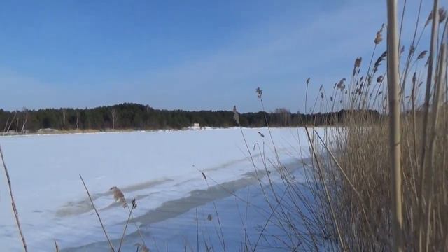 По левому берегу Гауйи до устья. смотреть онлайн