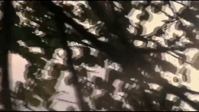 Влюбленные на велосипедах романтика тут смотреть онлайн