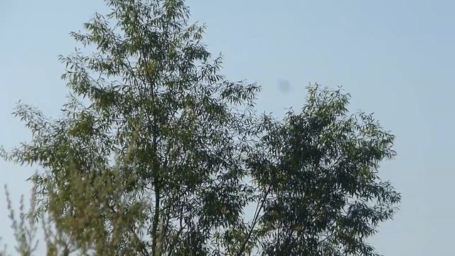 Рейды августа (ч.2-ходовой отсев) смотреть онлайн