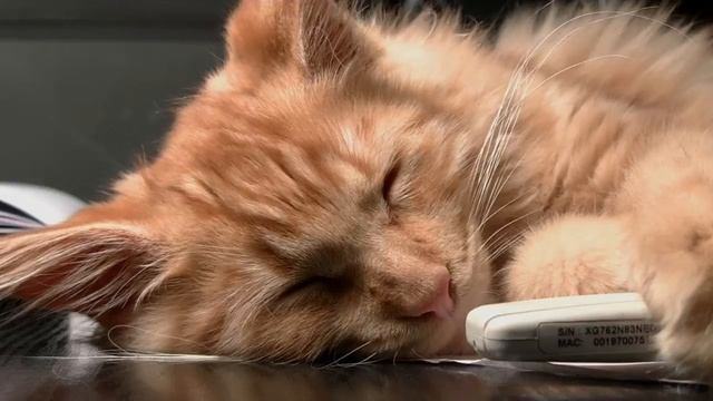 Уснет за 5 Детская колыбельная Колыбельная для умки музыка для быстрого сна  SleepTime