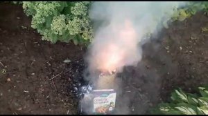 Удаление пня выжиганием (метод Циолковского)