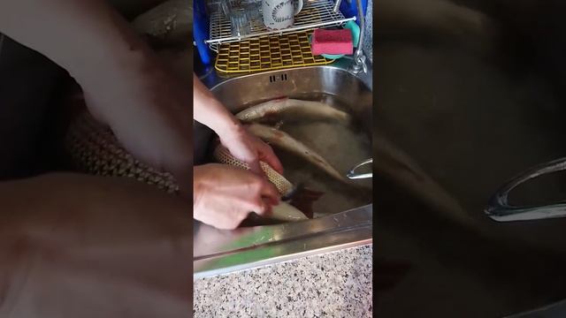 Как просто почистить рыбу без ножа смотреть онлайн