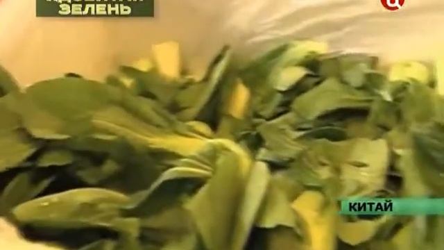 Ядовитая зелень, фрукты и овощи.