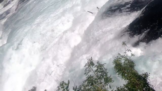 Rheinfall in Neuhausen am Rhein смотреть онлайн