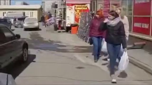 Собака за рулём смотреть онлайн