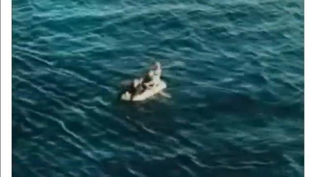 Франция: Кассис август 2013 смотреть онлайн