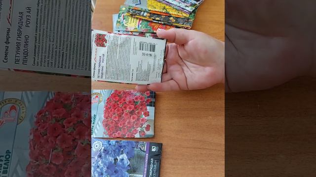 Подготовка к посеву петунии смотреть онлайн