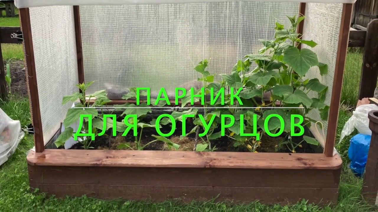 Огурцы | Небольшой удобный Парник Своими Руками смотреть онлайн