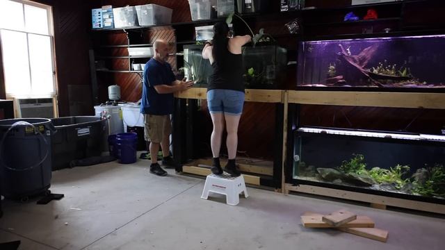 I Can't Believe I Didn't KILL This Fish! Double Decker Aquarium Stand Build Part 2 смотреть онлайн