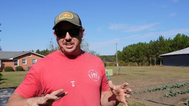 How to Kill Weeds with Plastic | THE WEED-FREE GARDEN смотреть онлайн