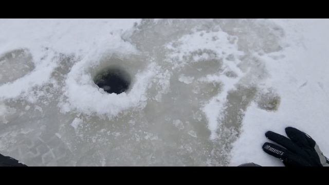 KRILL смотреть онлайн